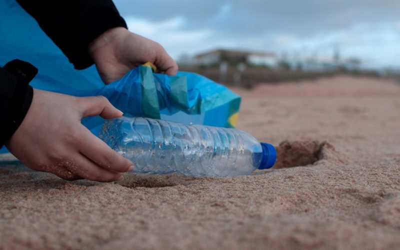 Estrategias para auditar afirmaciones corporativas